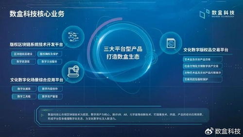 数盒科技Pre-A轮获国资参股，开启数字文化创意内容应用服务新篇章